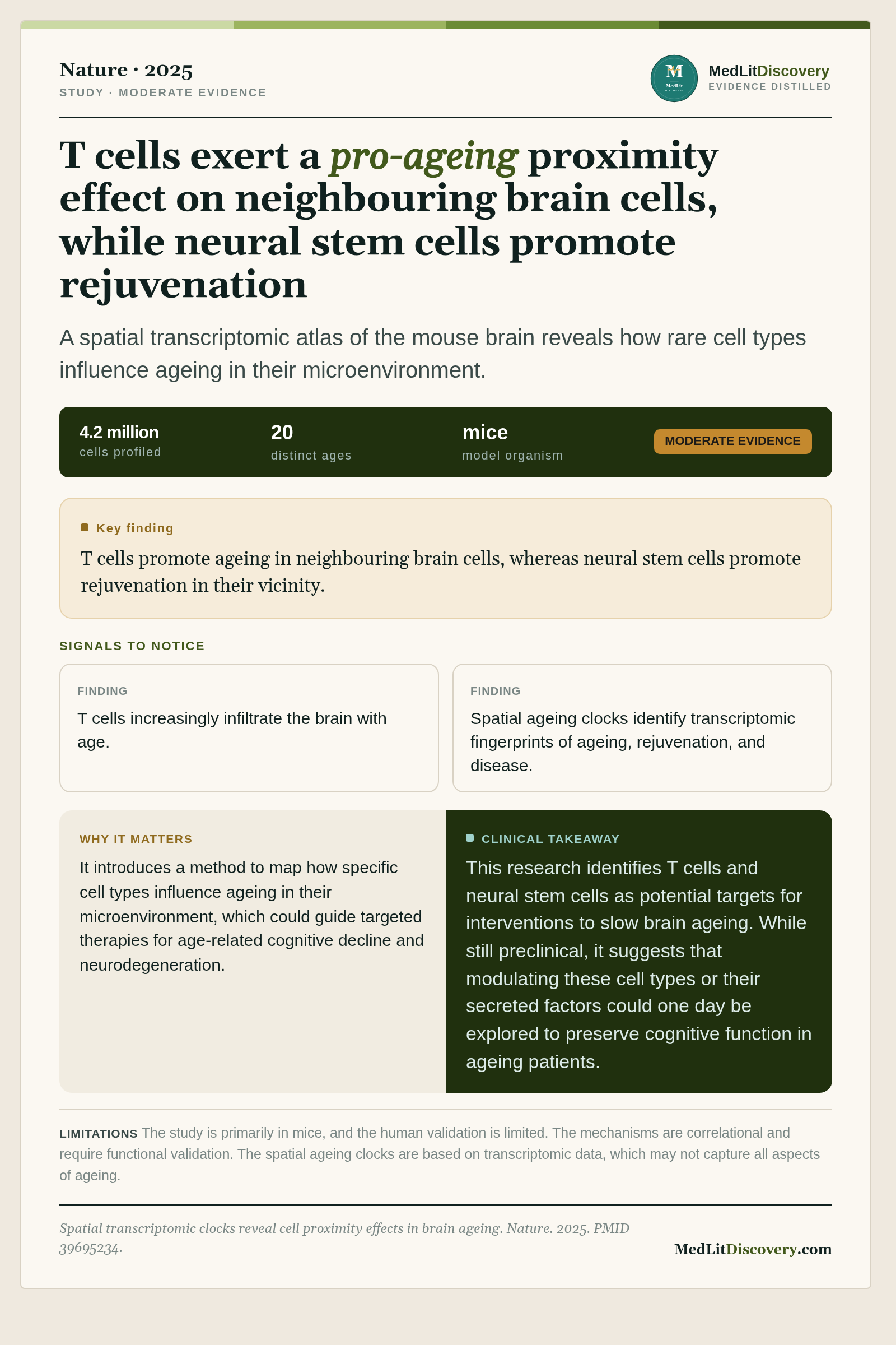 Infographic summary of Spatial transcriptomic clocks reveal cell proximity effects in brain ageing.