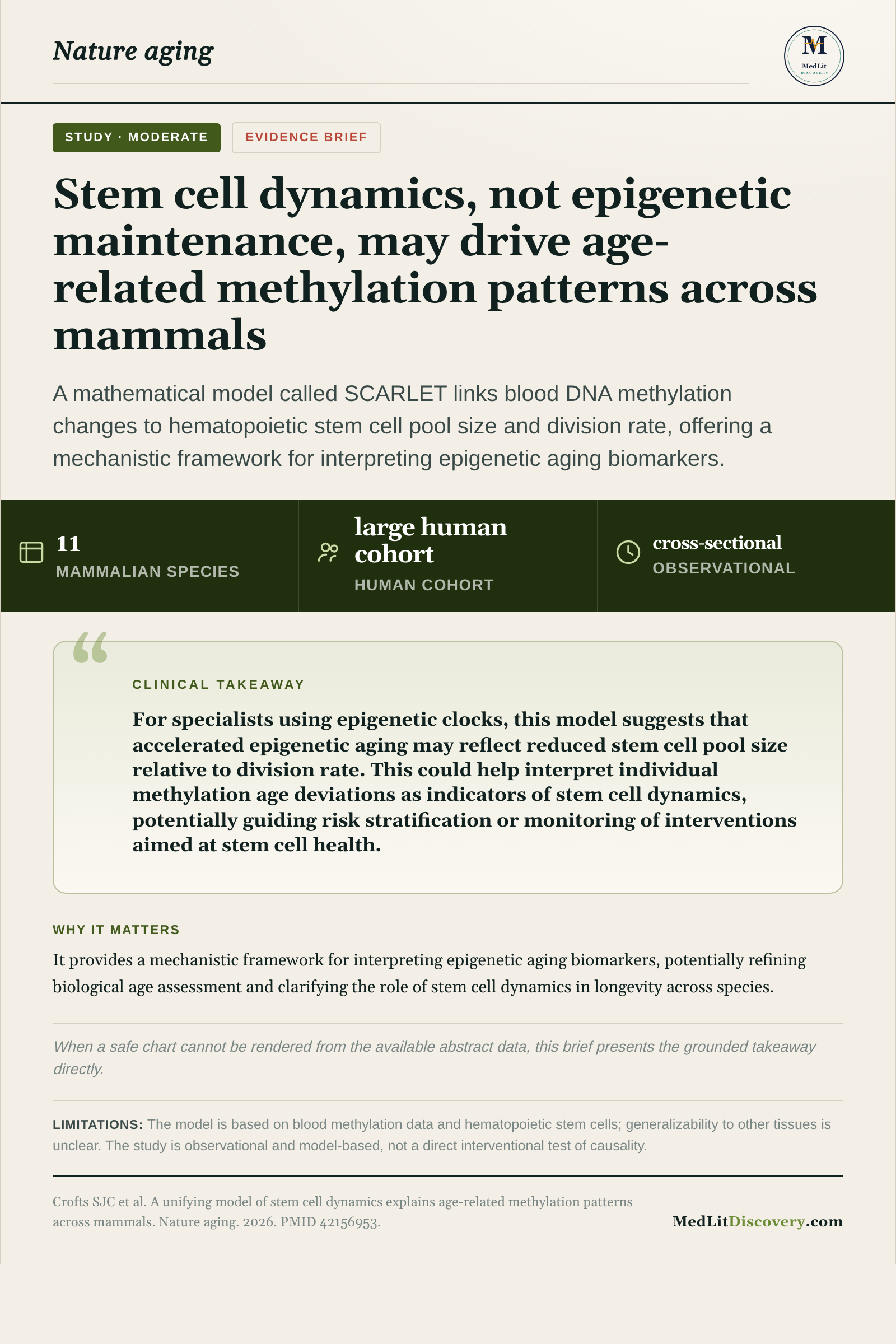 Infographic summary of A unifying model of stem cell dynamics explains age-related methylation patterns across mammals.