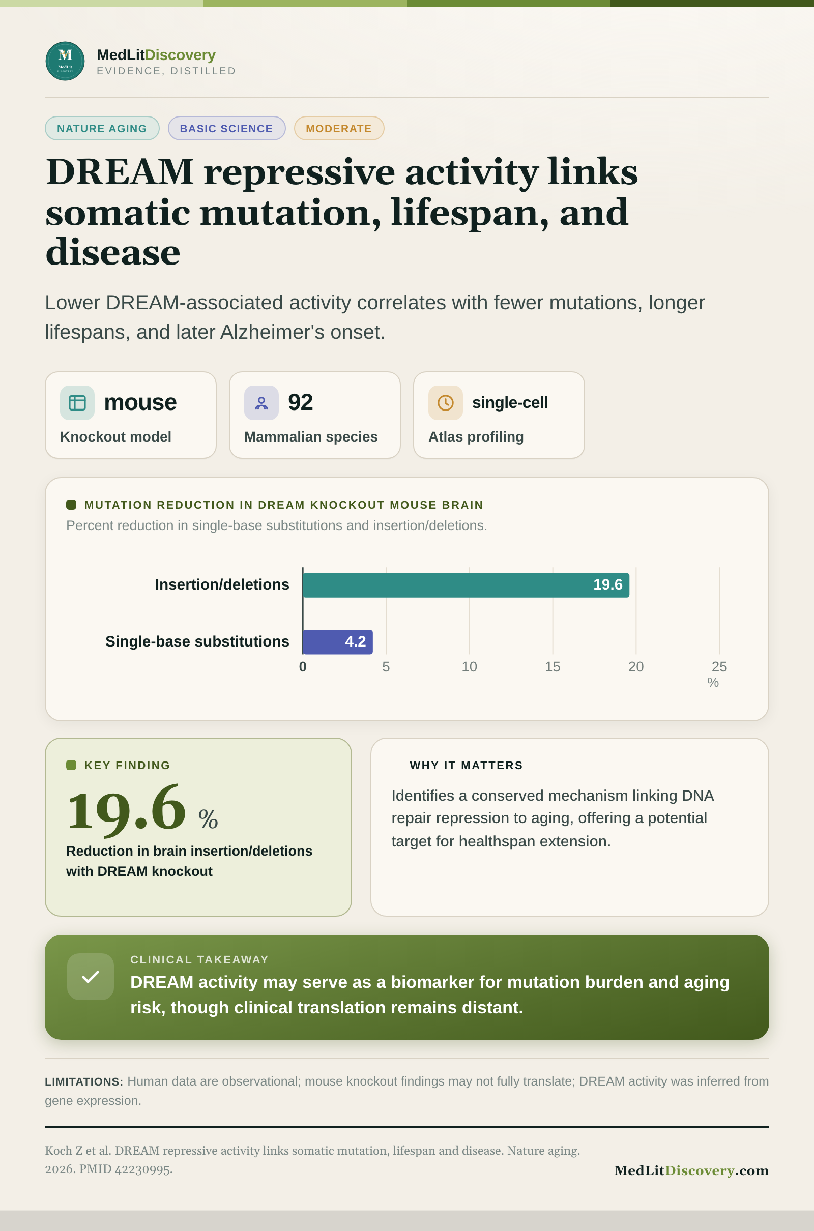 Infographic summary of DREAM repressive activity links somatic mutation, lifespan and disease.
