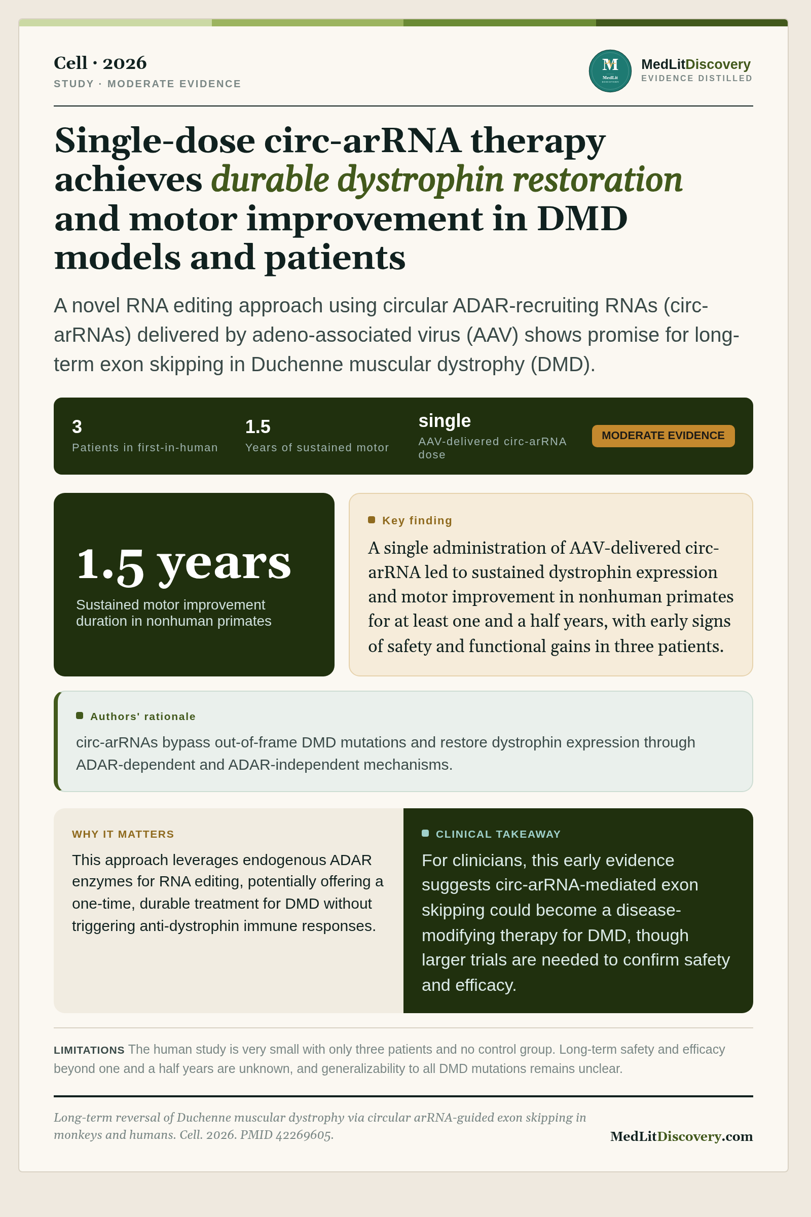 Infographic summary of Long-term reversal of Duchenne muscular dystrophy via circular arRNA-guided exon skipping in monkeys and humans.