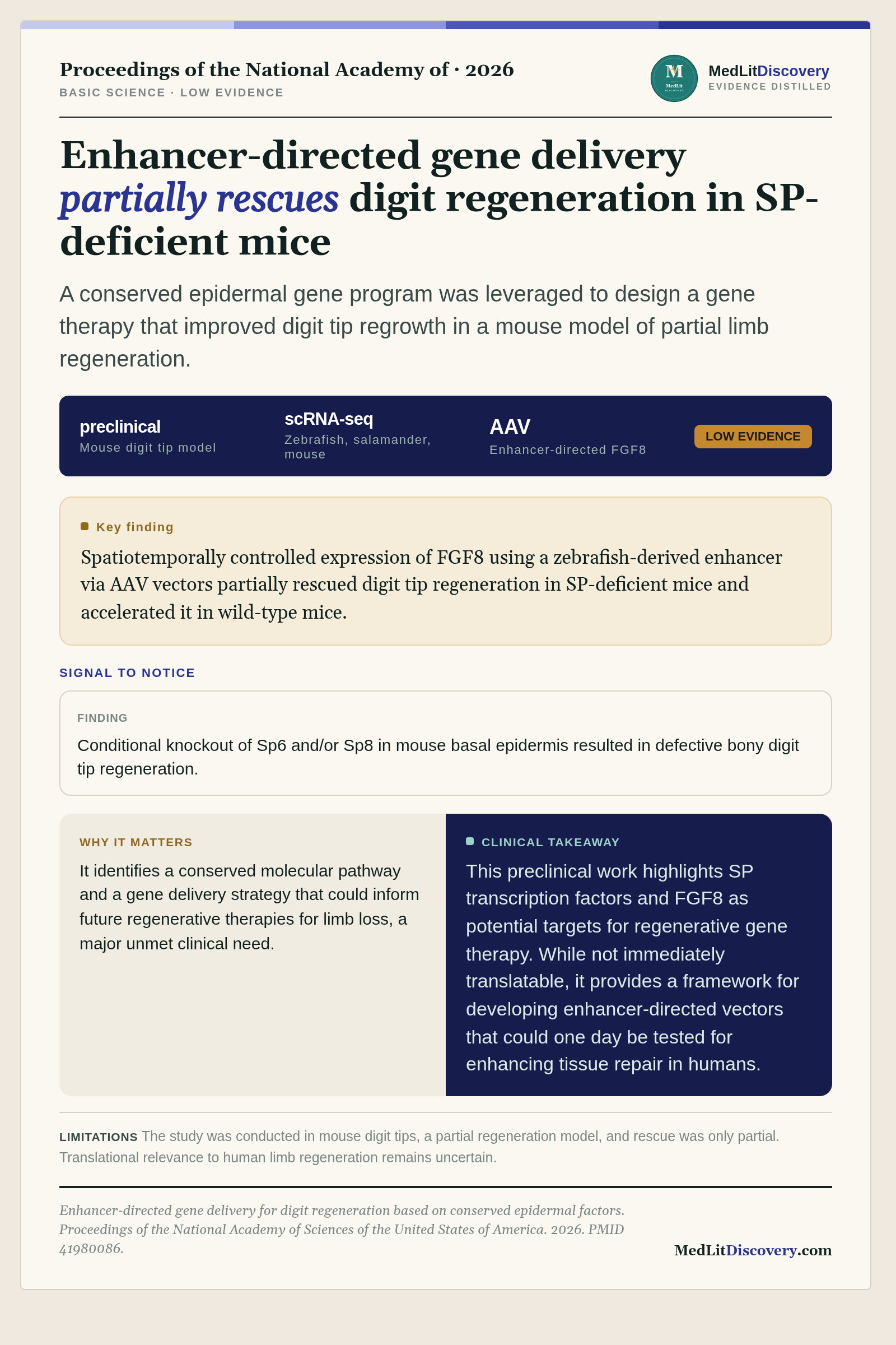 Infographic summary of Enhancer-directed gene delivery for digit regeneration based on conserved epidermal factors.