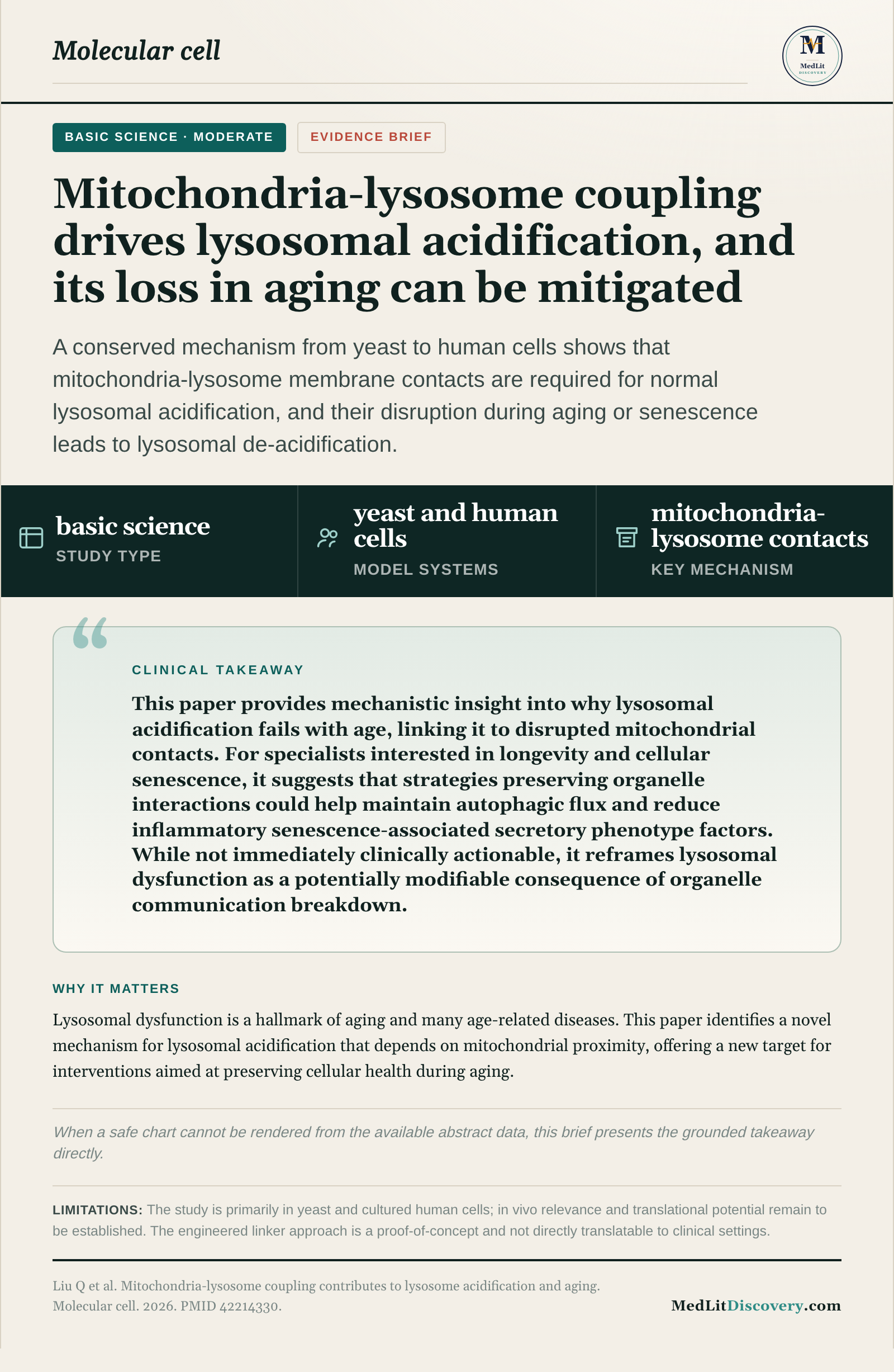 Infographic summary of Mitochondria-lysosome coupling contributes to lysosome acidification and aging.